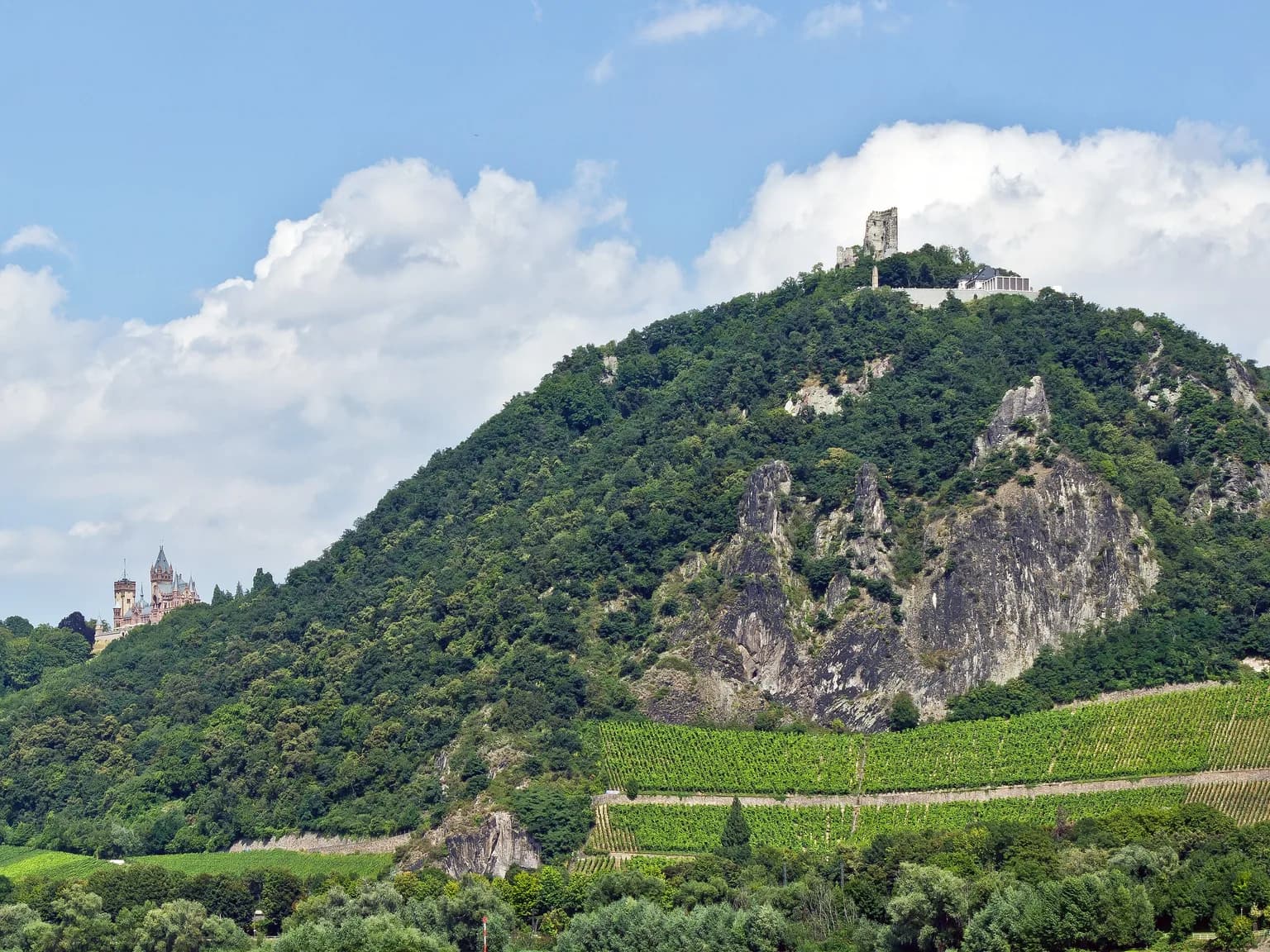 Der bewaldete Drachenfels bei Königswinter mit der Burgruine auf dem Gipfel, Felswänden, Weinbergen und Schloss Drachenburg am Hang unter blauem Sommerhimmel.